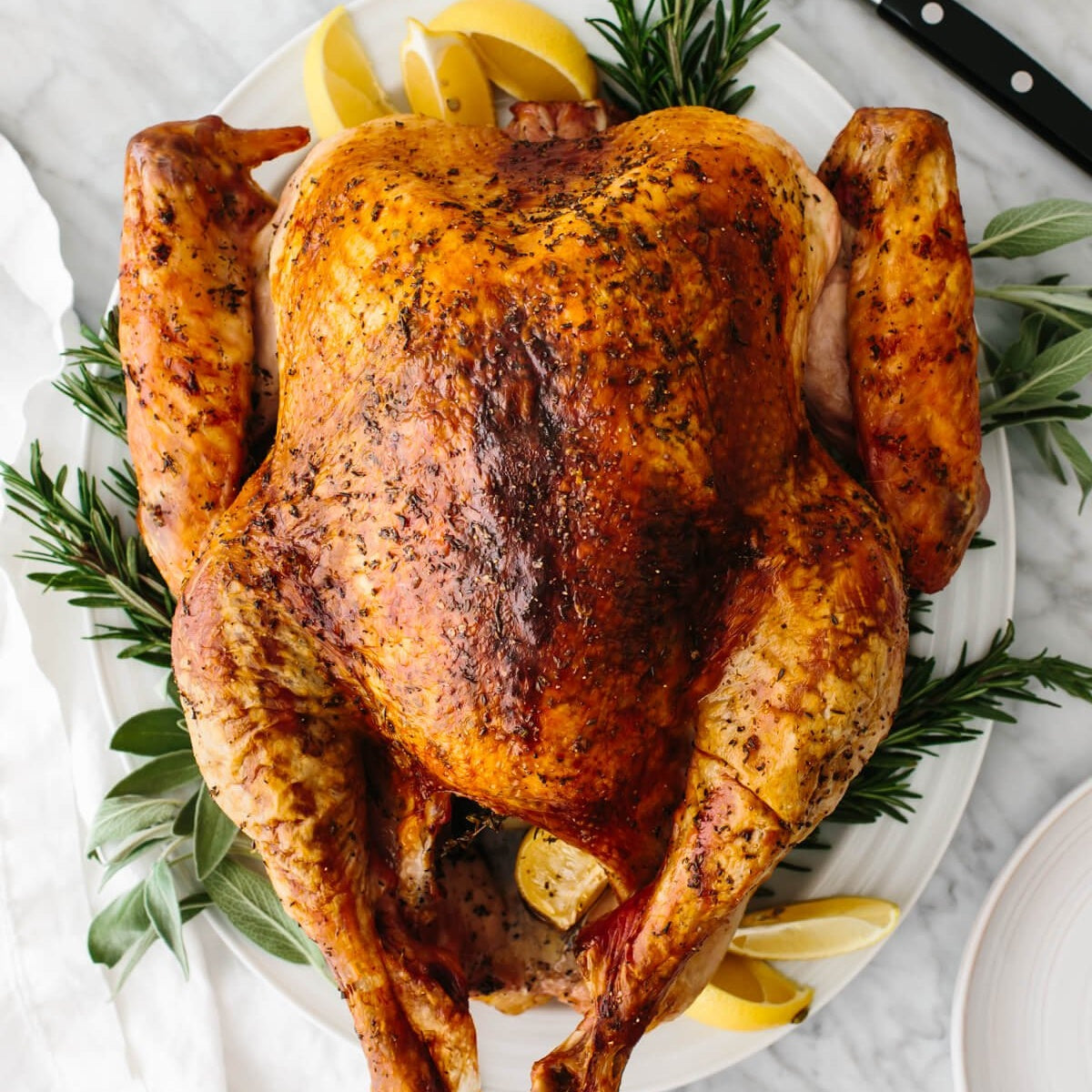 "WILD TURKEY" BLEND (PAVO)