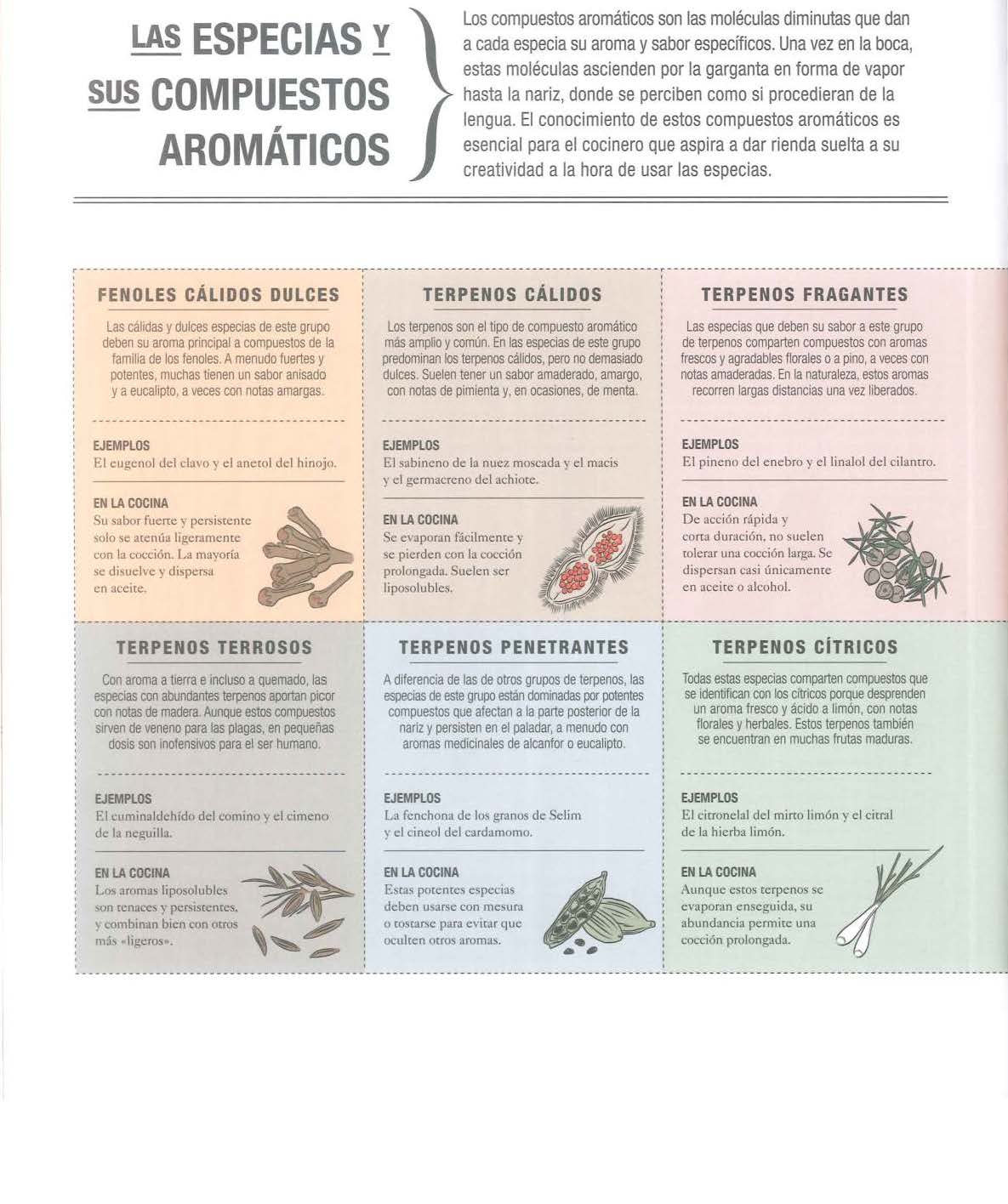 LA CIENCIA DE LAS ESPECIAS - DR. STUART FARRIMOND