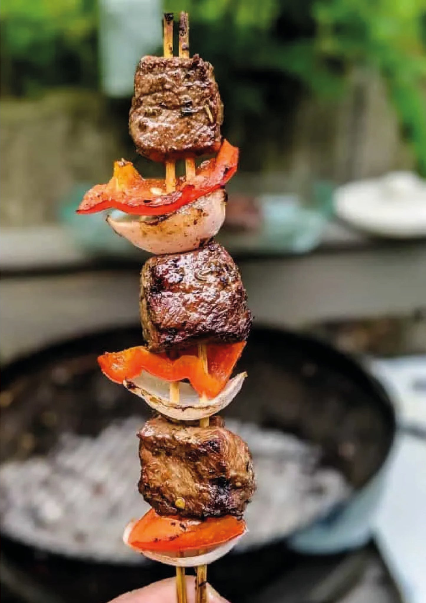 RECETARIO BROCHETAS Y ANTICUCHOS BRAVOS!