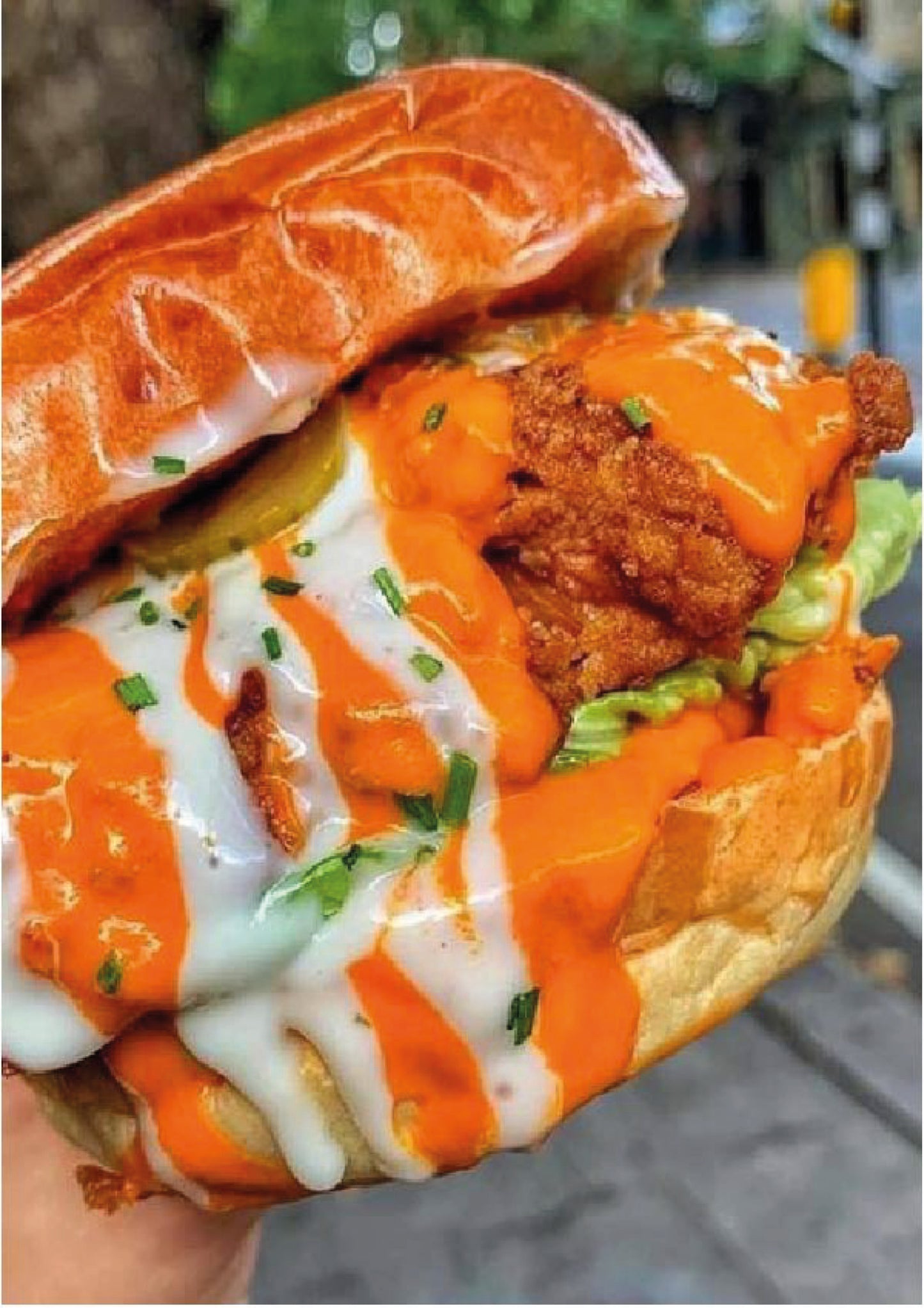 RECETARIO BURGERS Y SANDWICHS BRAVOS!