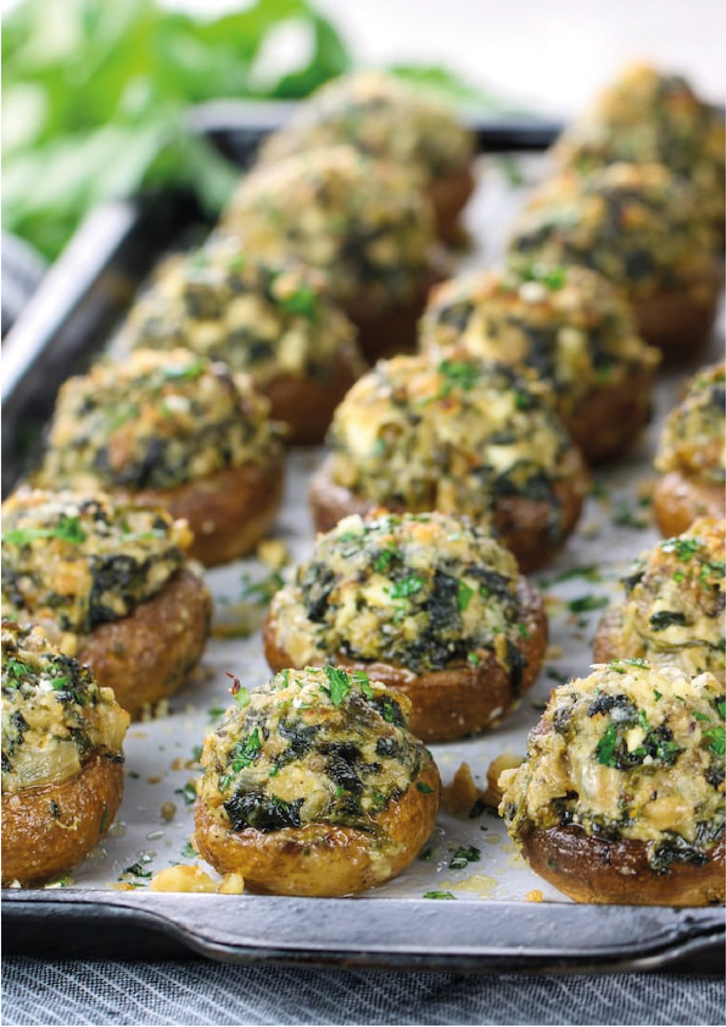RECETARIO APPETIZERS Y ACOMPAÑAMIENTOS BRAVOS!