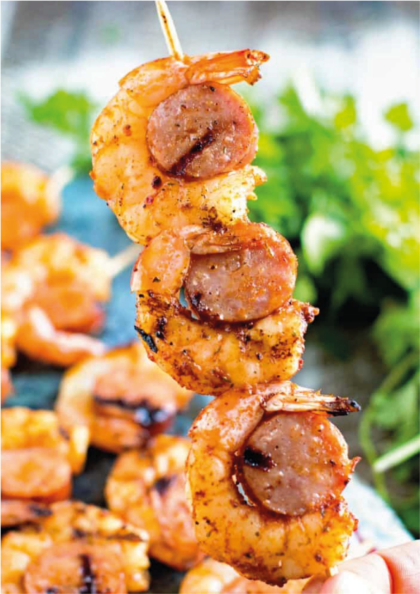 RECETARIO BROCHETAS Y ANTICUCHOS BRAVOS!