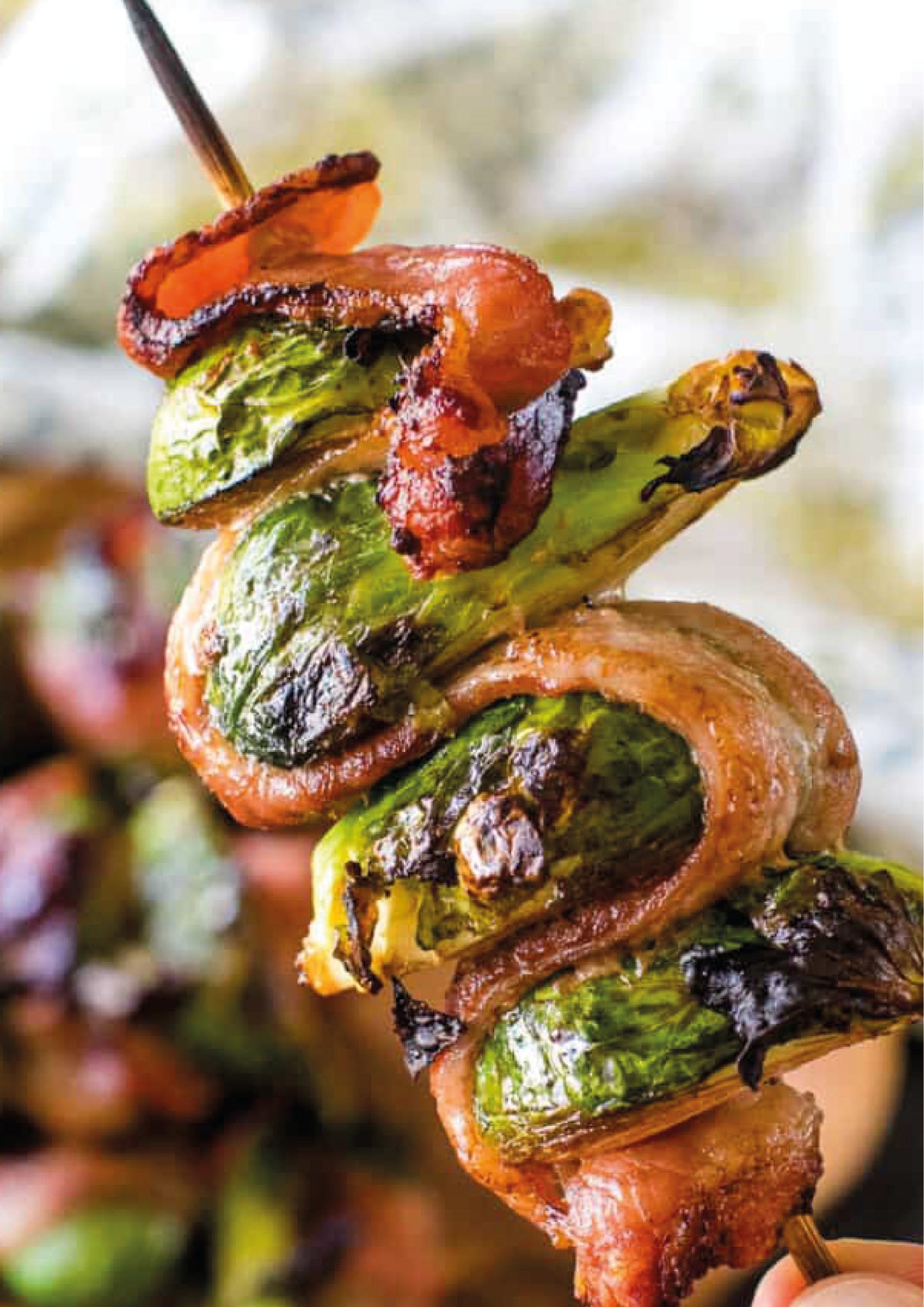RECETARIO BROCHETAS Y ANTICUCHOS BRAVOS!